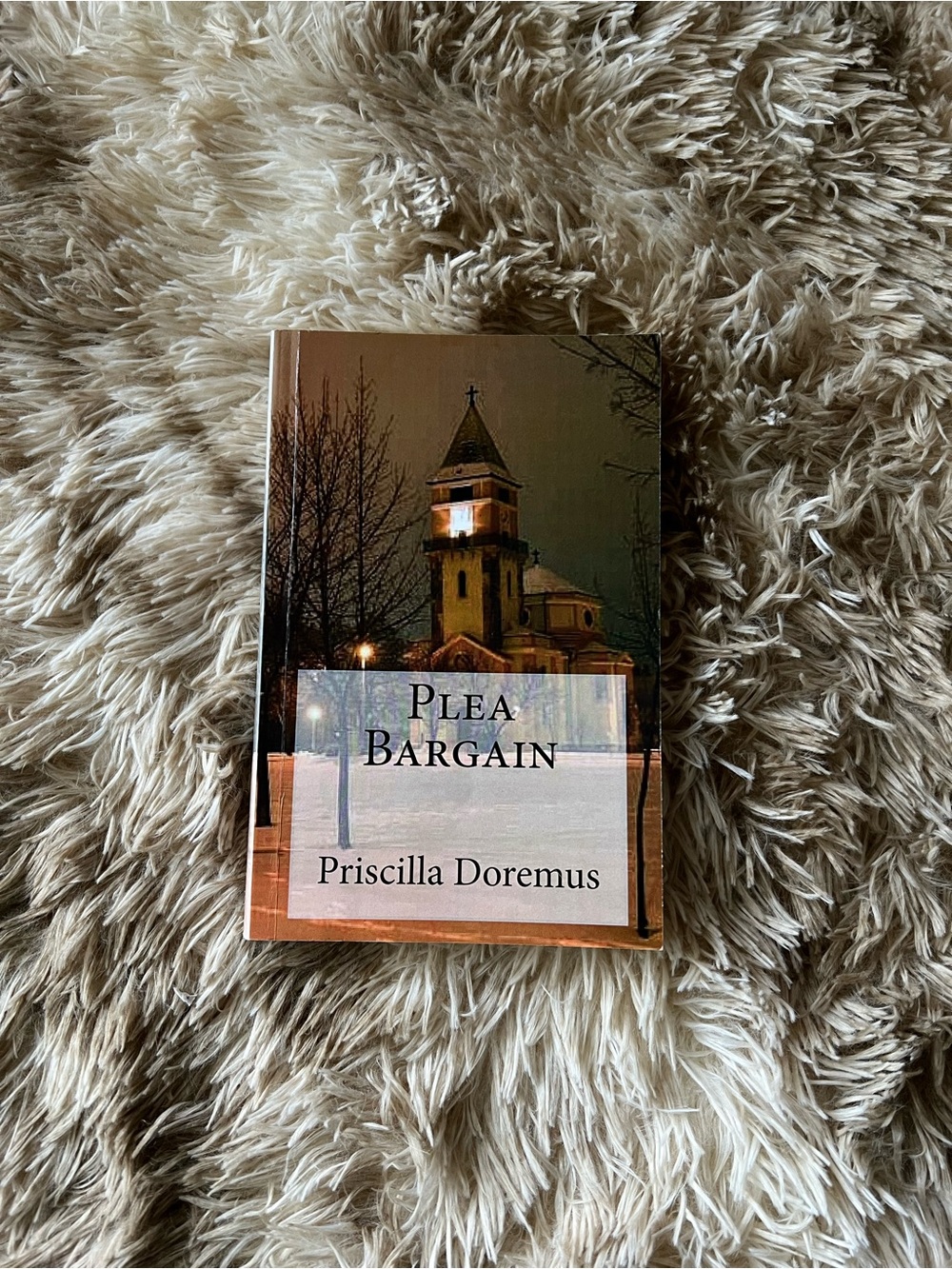 Plea Bargain by Priscilla Doremus - Dusty Brown & Cream Cover